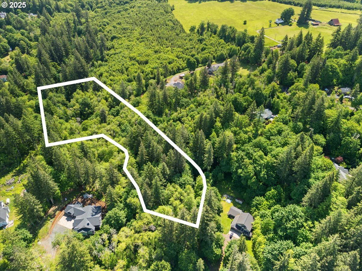 00 NE 324th CIR, Battle Ground, WA, 98604
