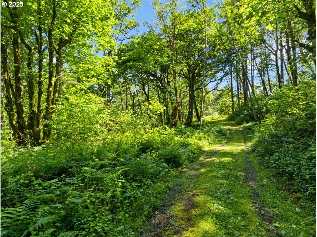 00 NE 324th CIR, Battle Ground, WA, 98604