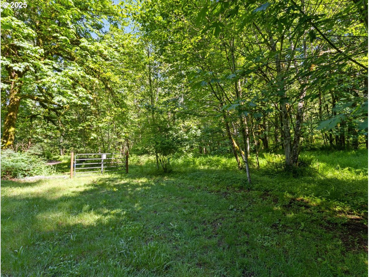 00 NE 324th CIR, Battle Ground, WA, 98604