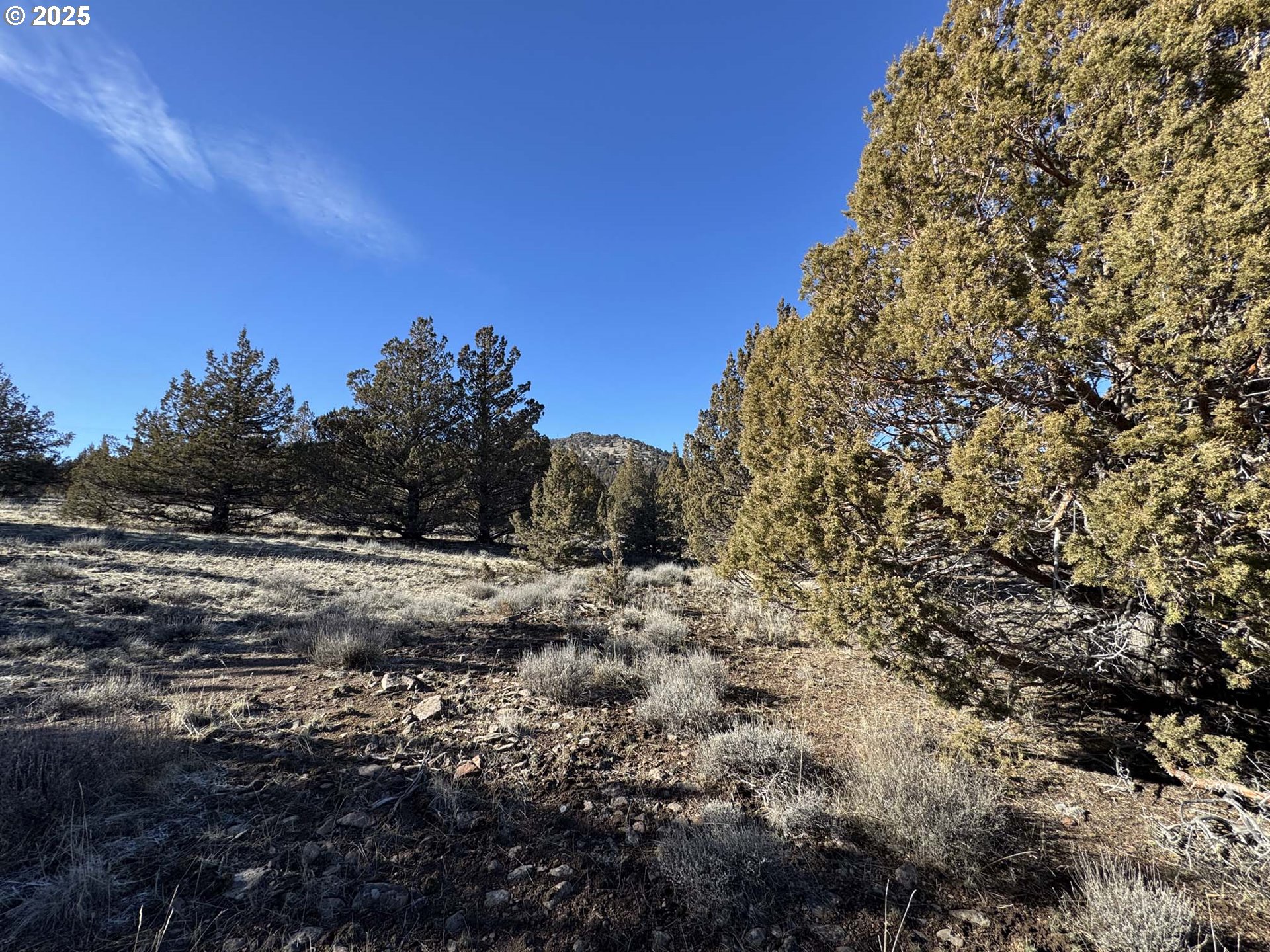 Search Homes for Sale