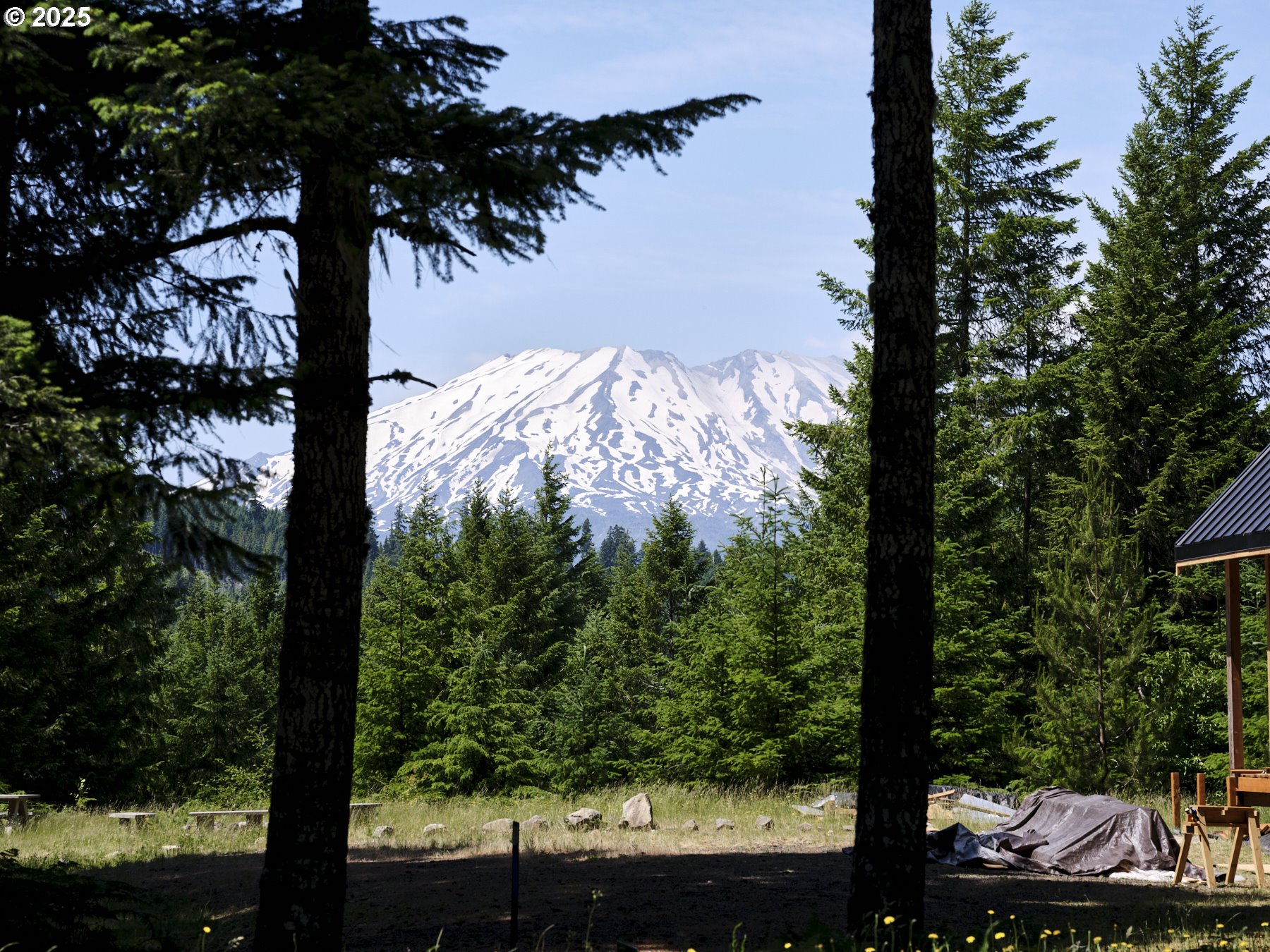 Search Homes for Sale