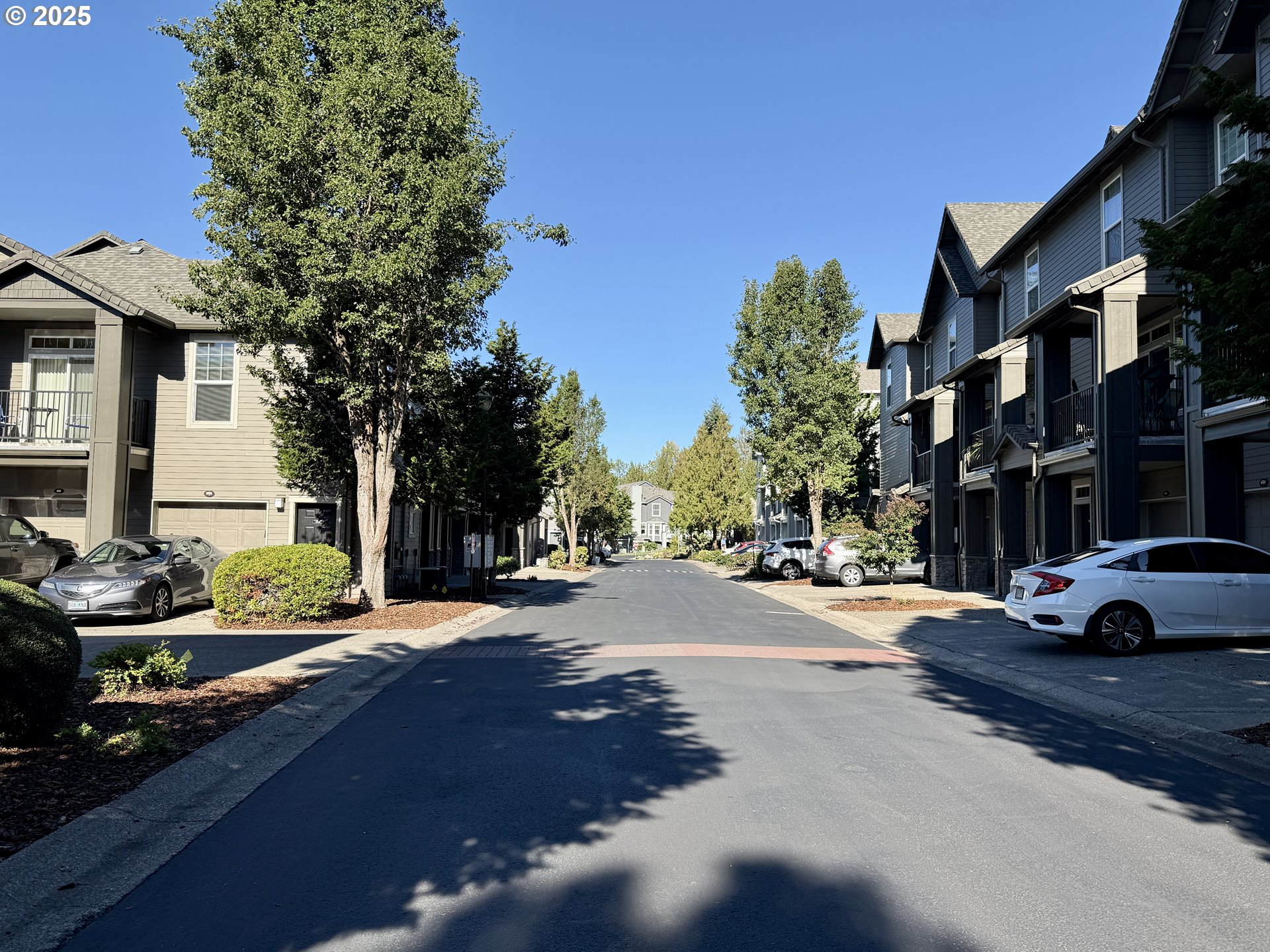 Photo #5: 517915979 Listing: Photo #5