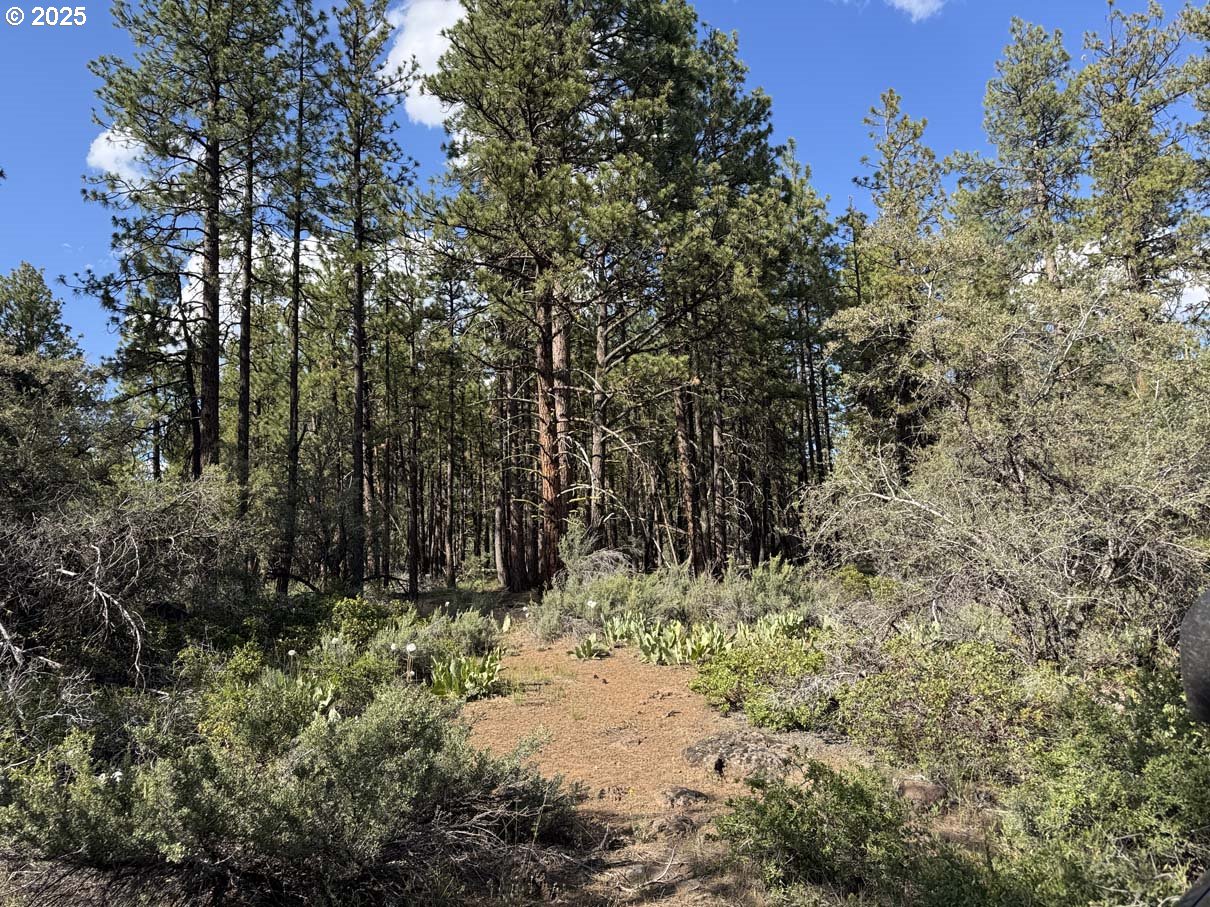 Thunder Bear Road UNIT 46, Bonanza, OR, 97623