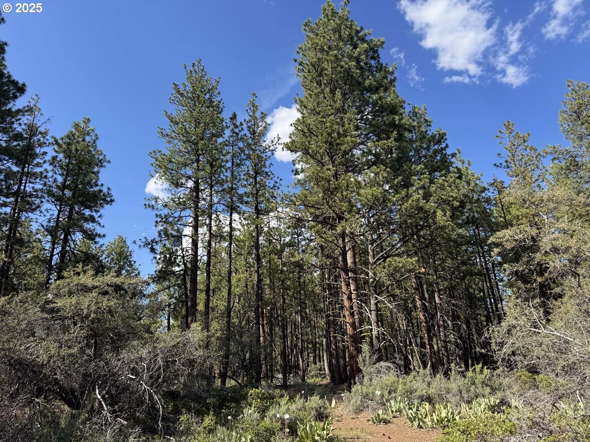 Thunder Bear Road UNIT 46, Bonanza, OR, 97623