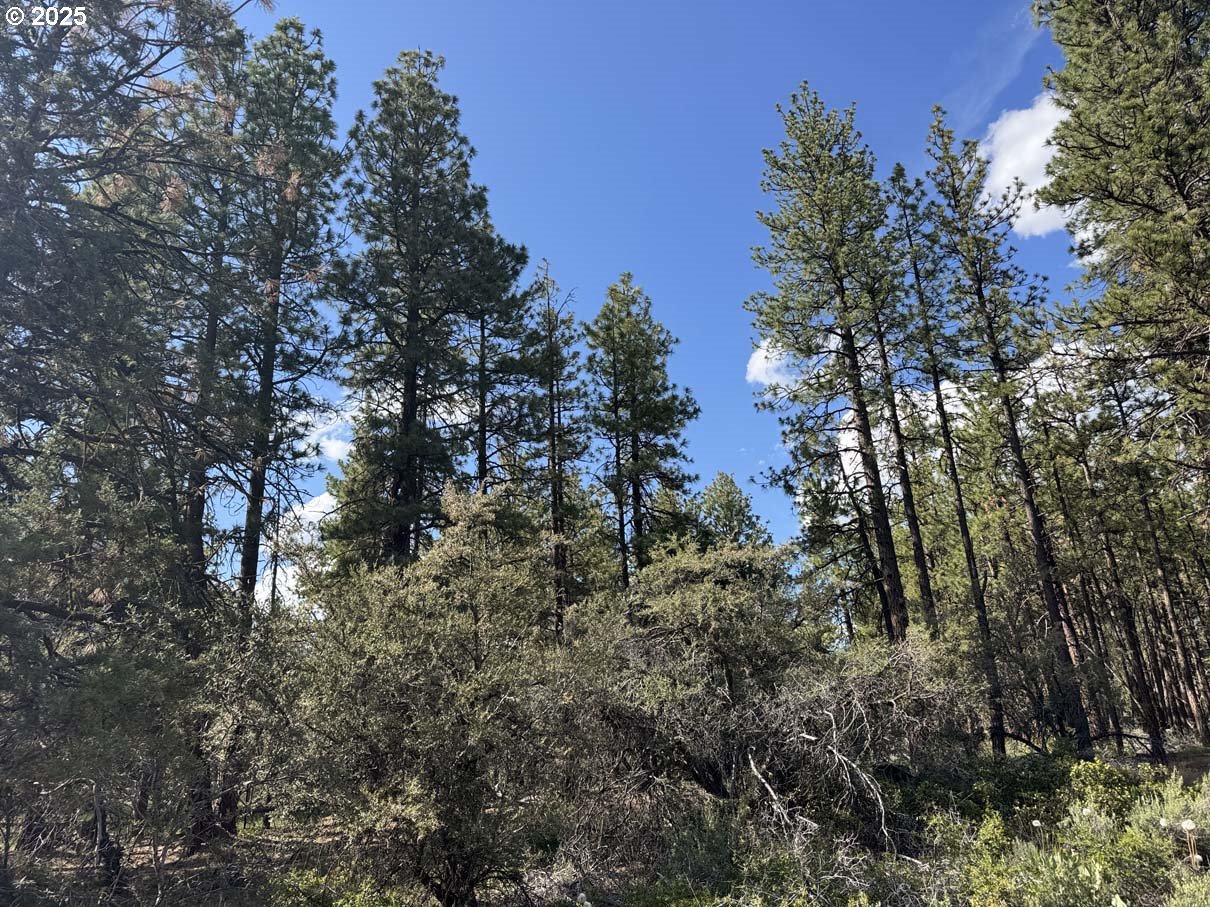 Thunder Bear Road UNIT 46, Bonanza, OR, 97623