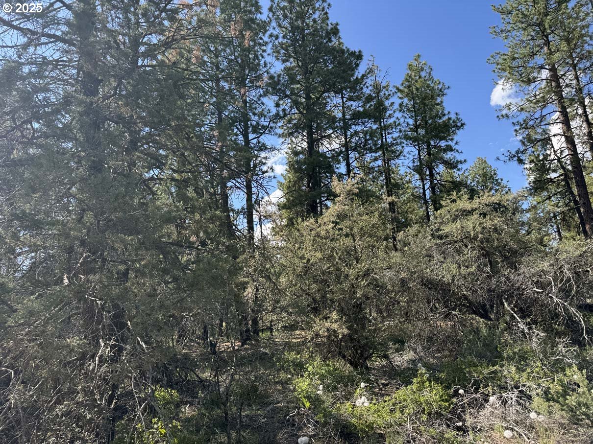 Thunder Bear Road UNIT 46, Bonanza, OR, 97623