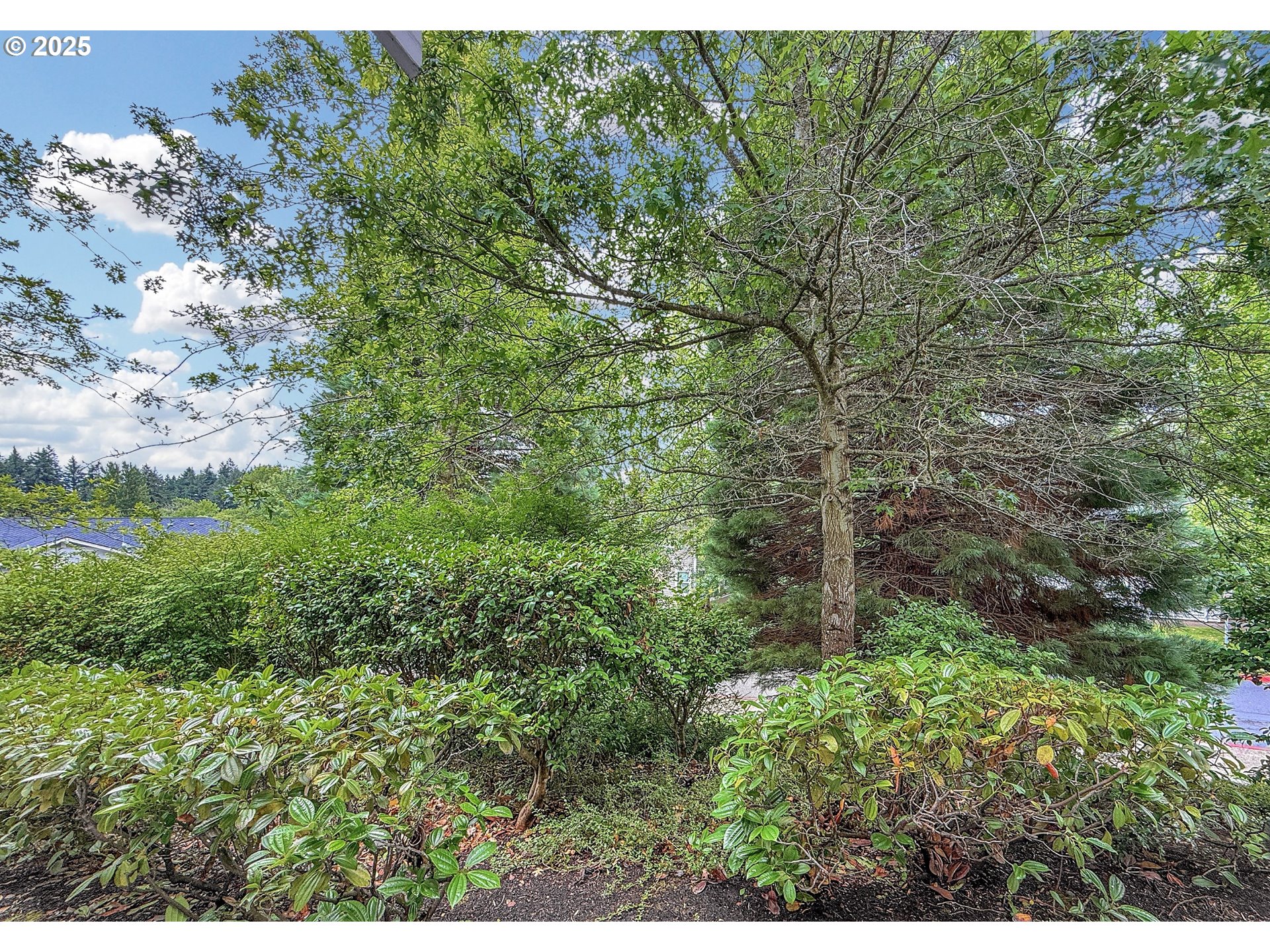 Photo #7: 518854763 Listing: Photo #7