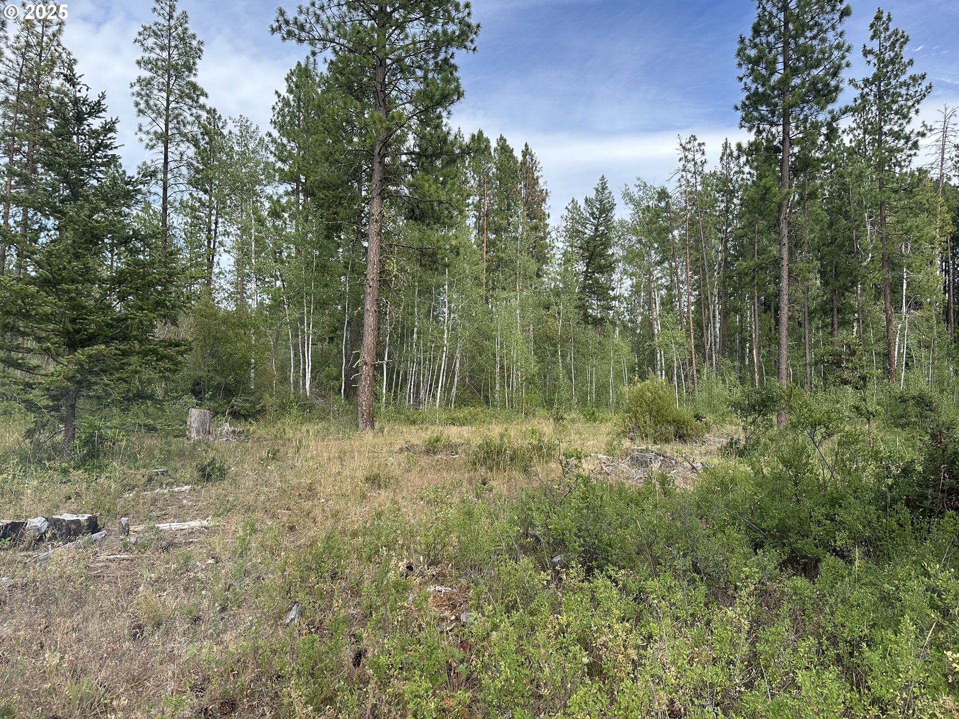 3 Greyback Mt RD, Goldendale, WA, 98620