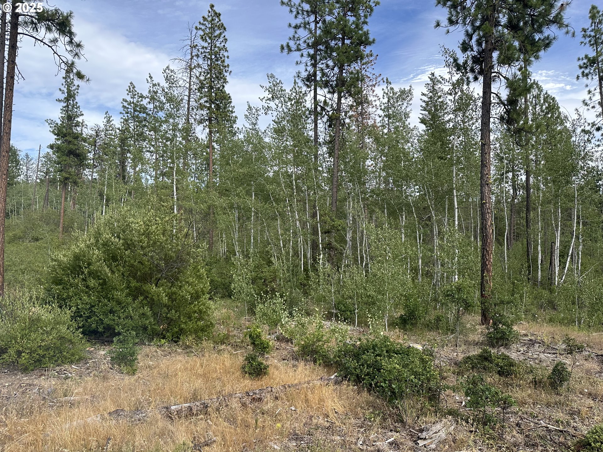 3 Greyback Mt RD, Goldendale, WA, 98620