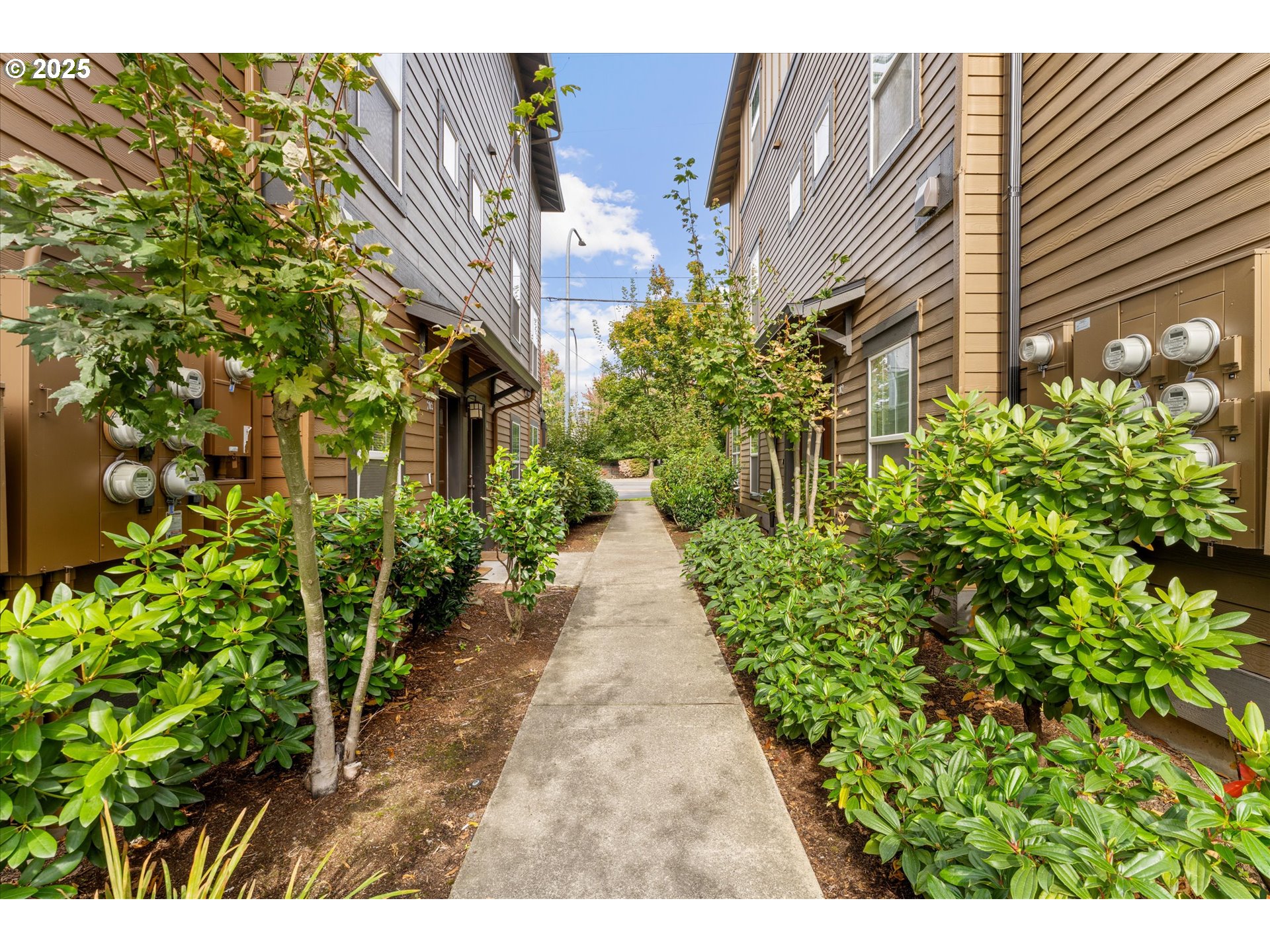 Photo #4: 521040390 Listing 