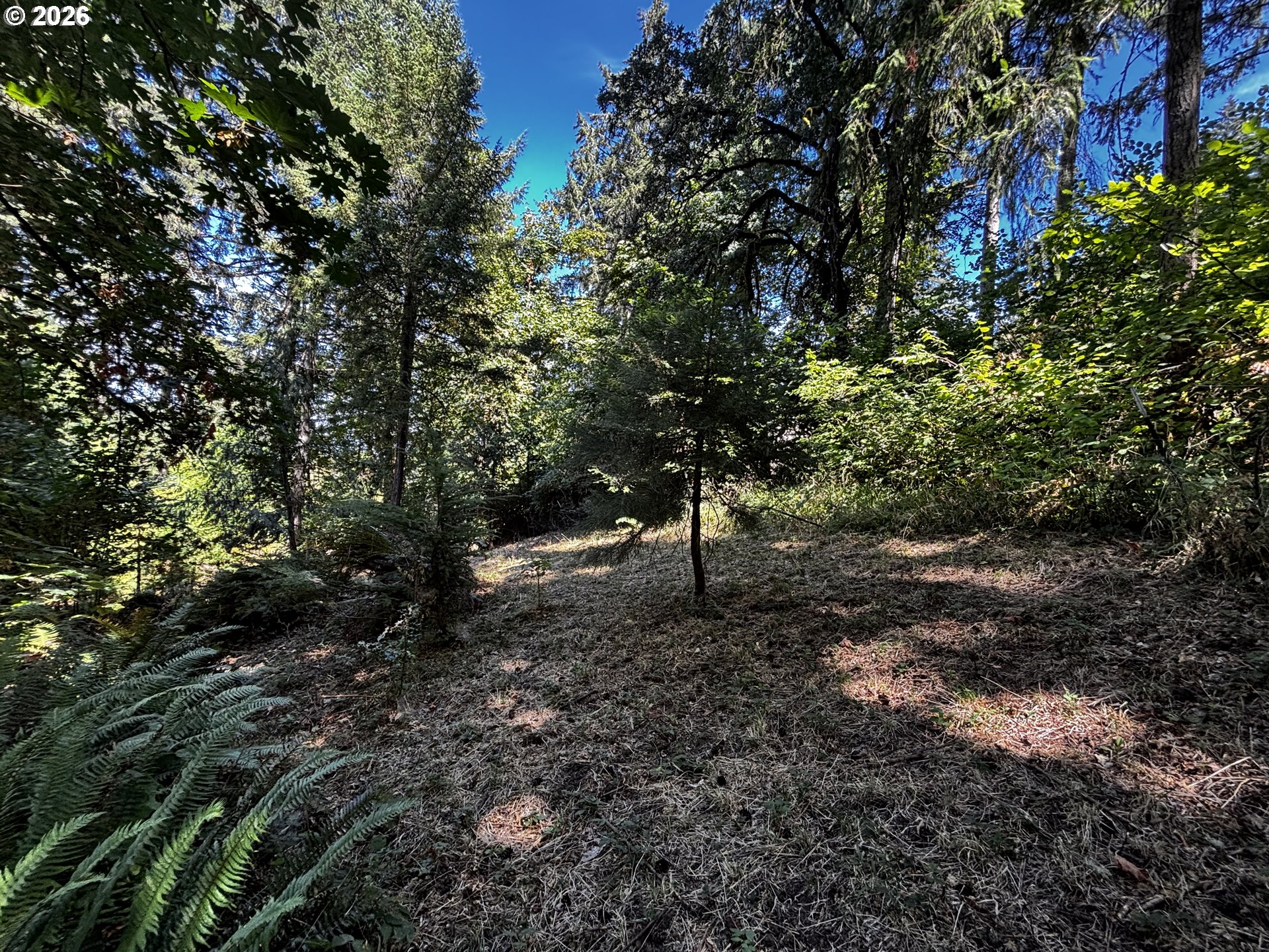 Property photo 47 of 48