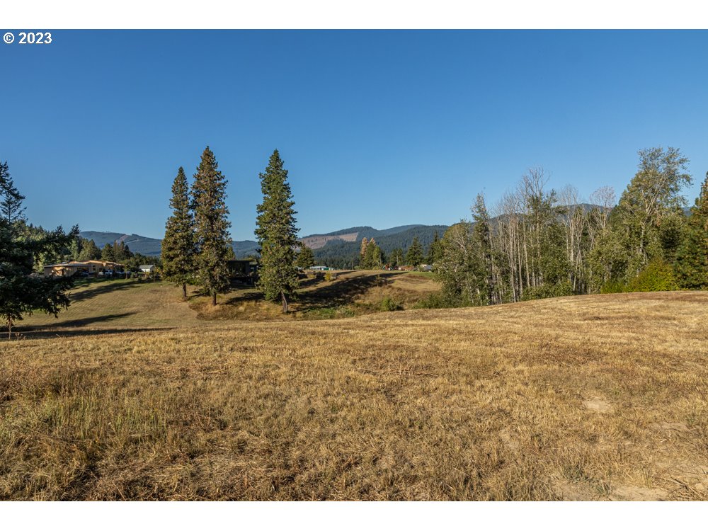 Photo of Lot 25 Husum Greens White Salmon WA 98672