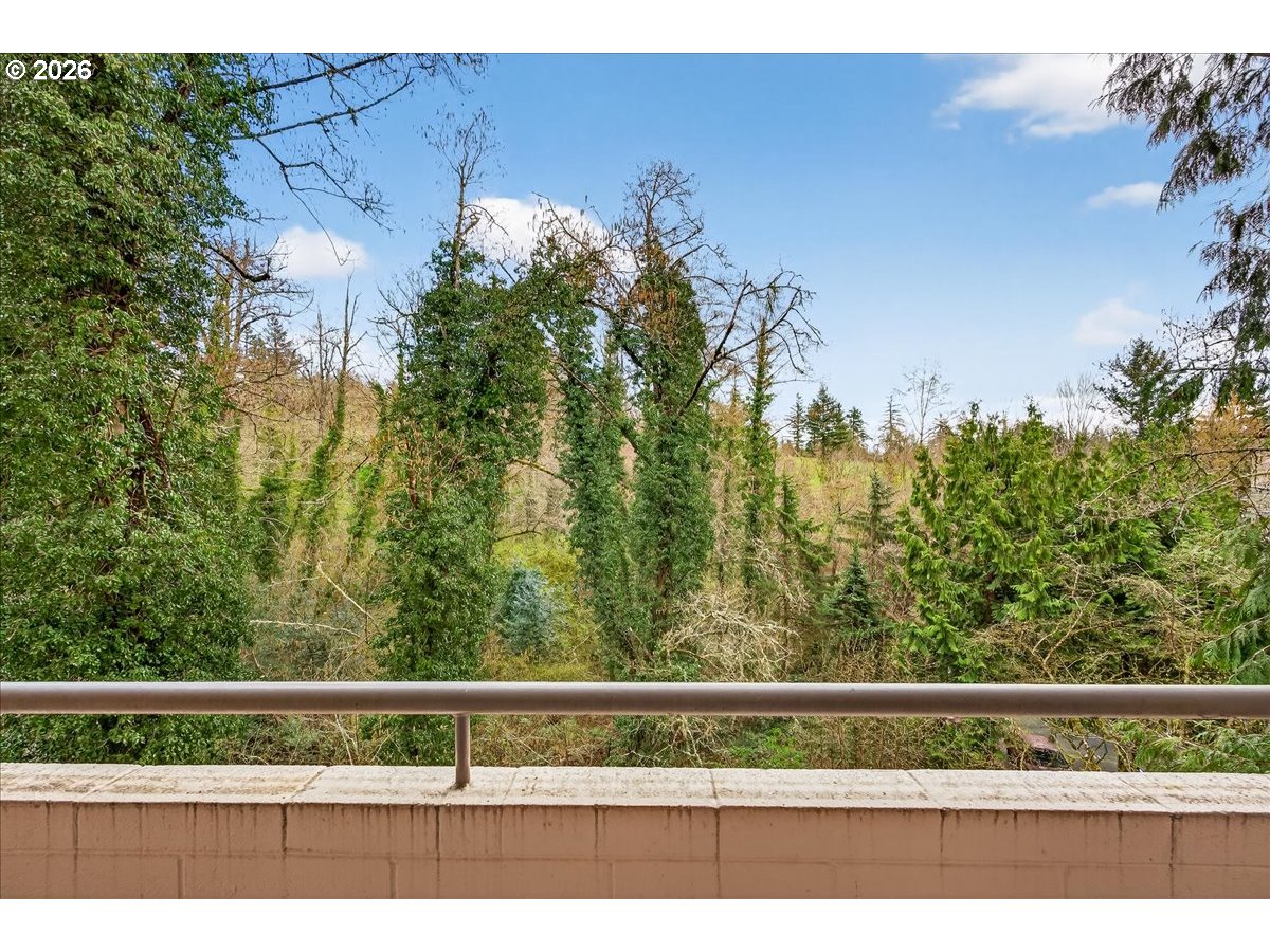 Photo #18: 524399825 Listing: Photo #18