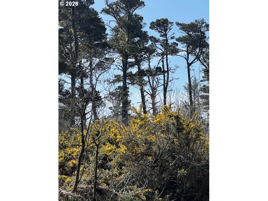 71 TEAL LN, Goldendale, WA, 98620