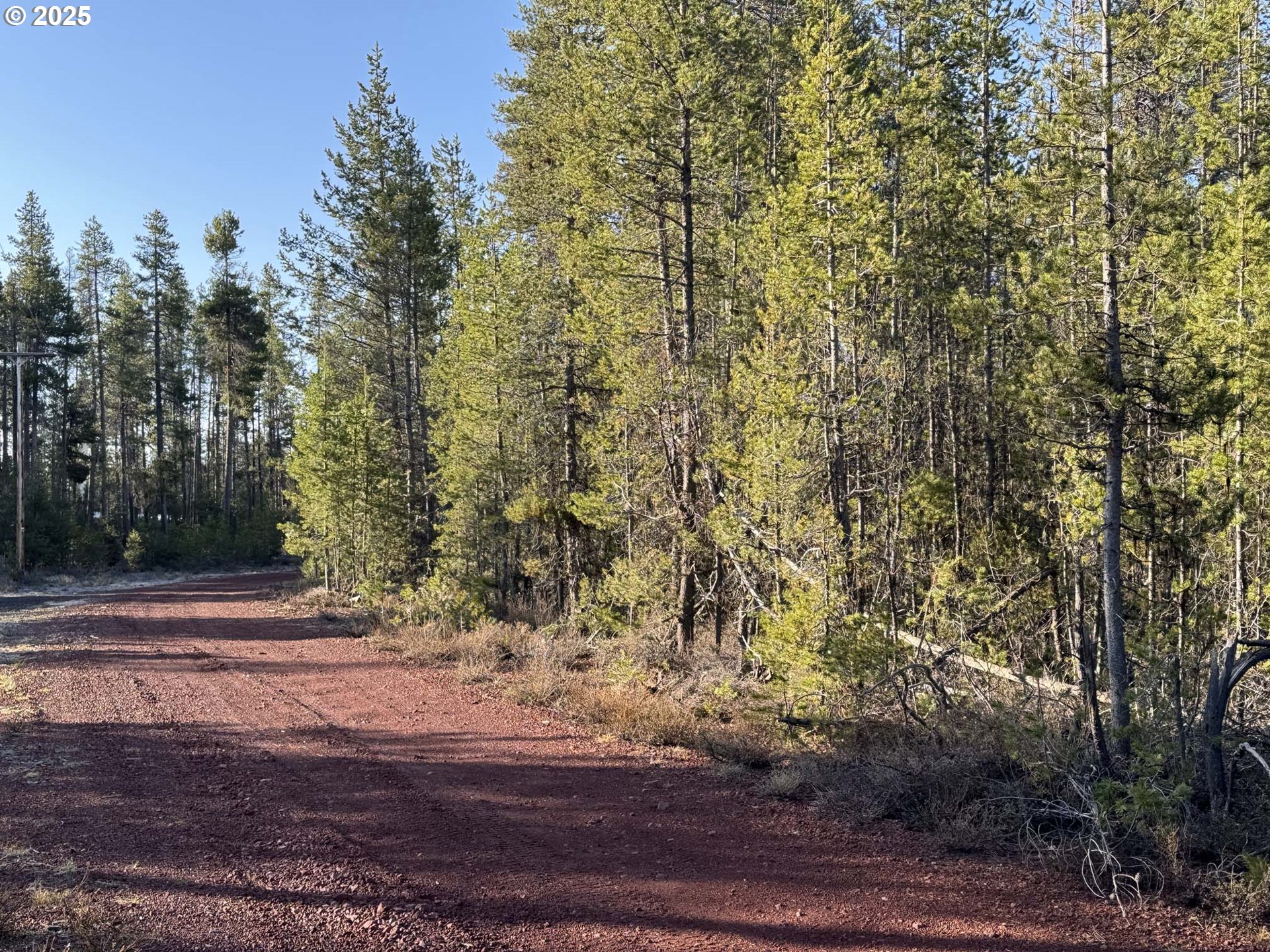 Search Homes for Sale