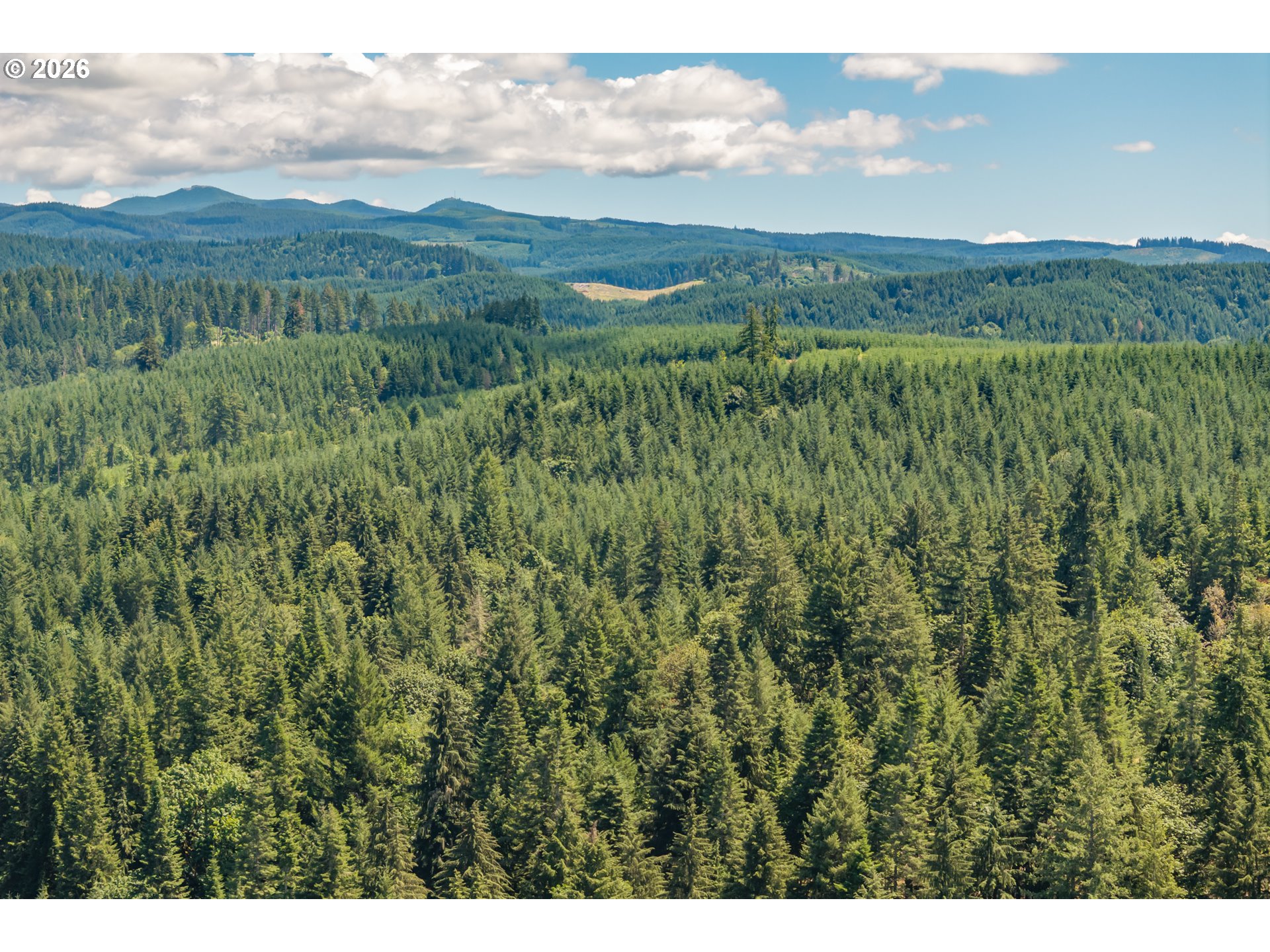 42051 CLARK SMITH DR, Lebanon, OR, 97355