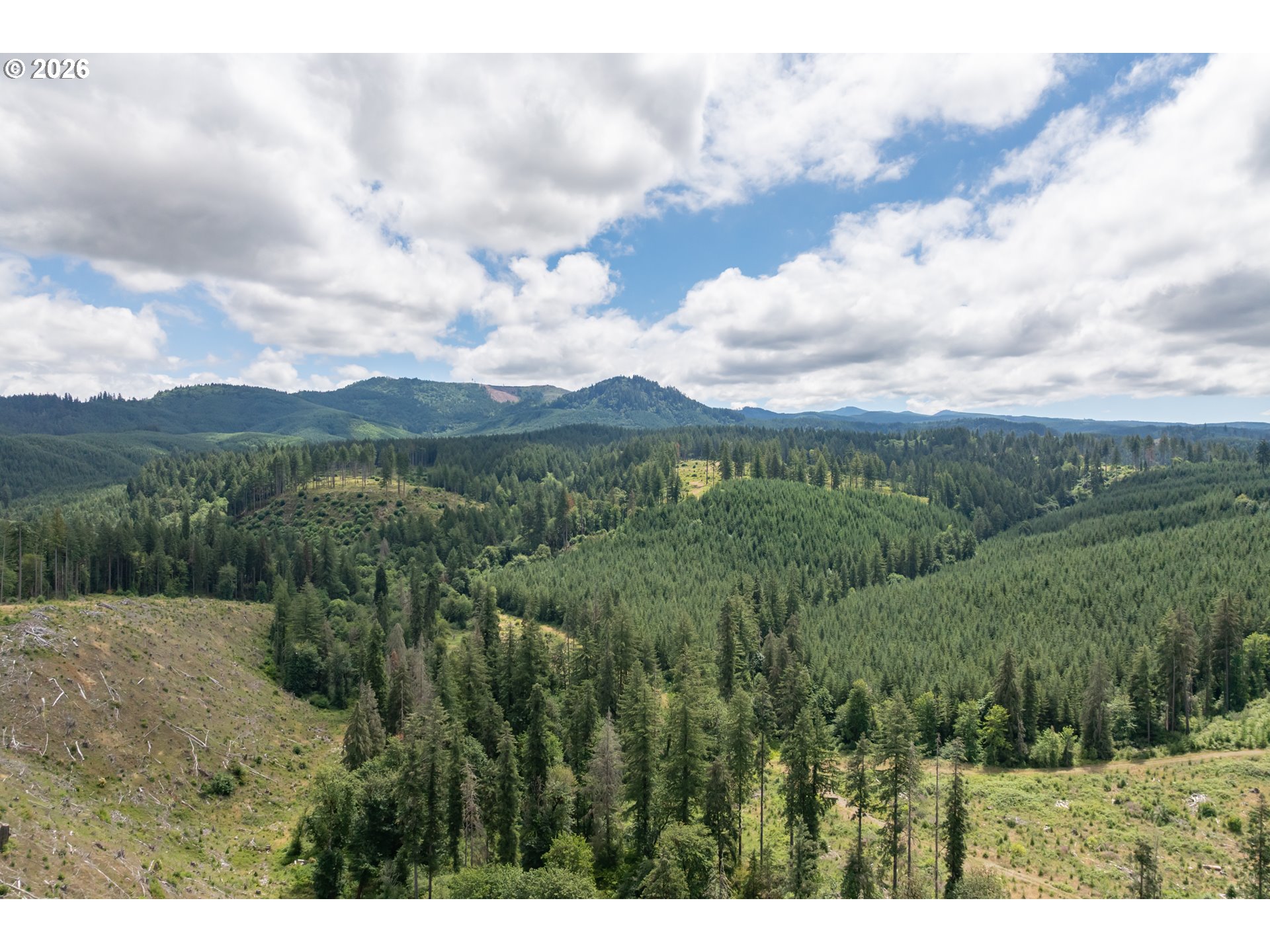 42051 CLARK SMITH DR, Lebanon, OR, 97355