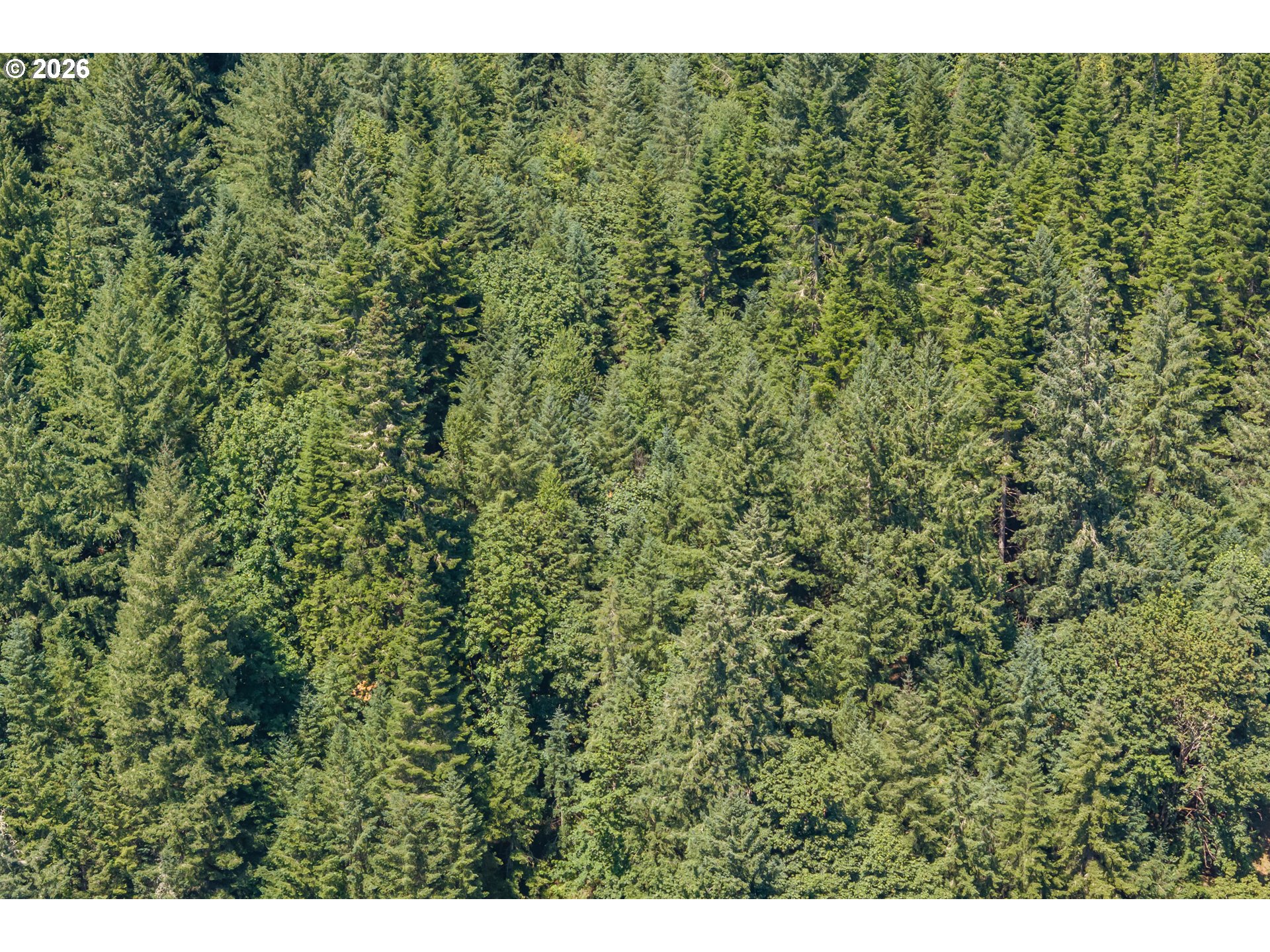 42051 CLARK SMITH DR, Lebanon, OR, 97355