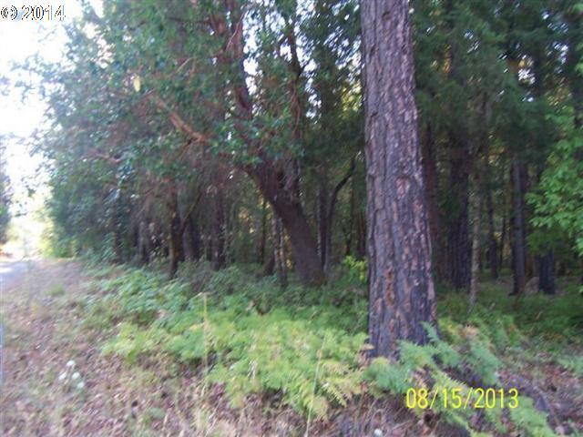 Photo of 0 East Evans Creek Rd Rogue River OR 97537