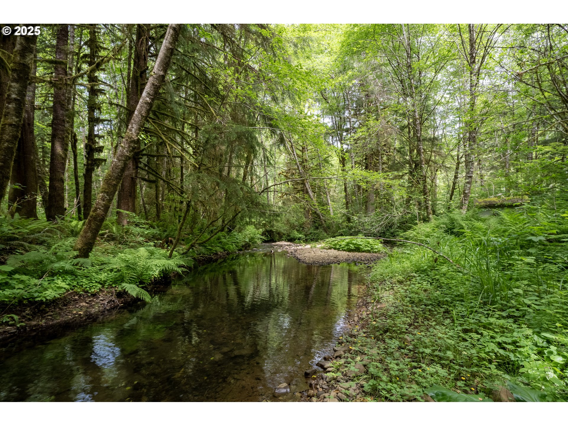 Greenleaf Road, Arch Cape, OR, 97102