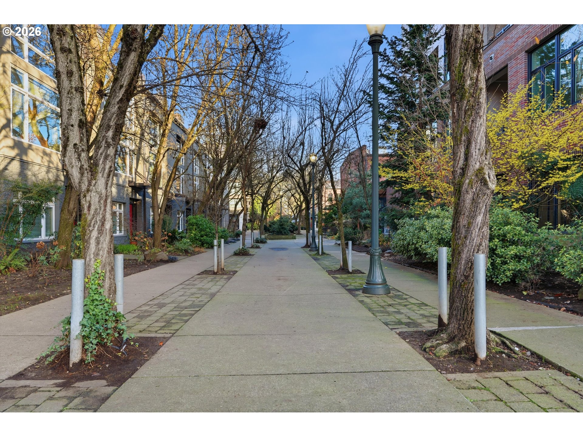 Photo #3: 530383191 Listing: Photo #3