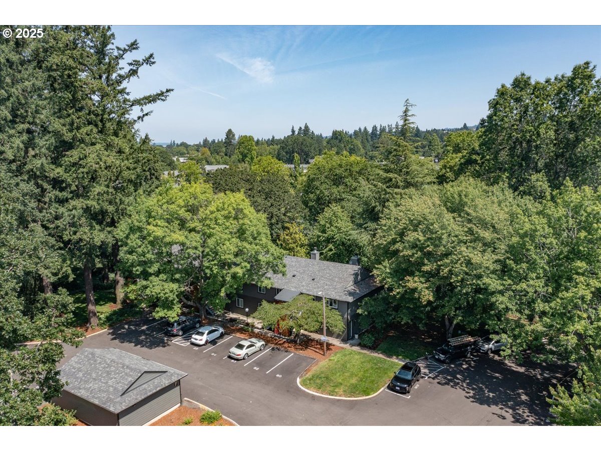 Photo #33: 531066051 Listing: Photo #33