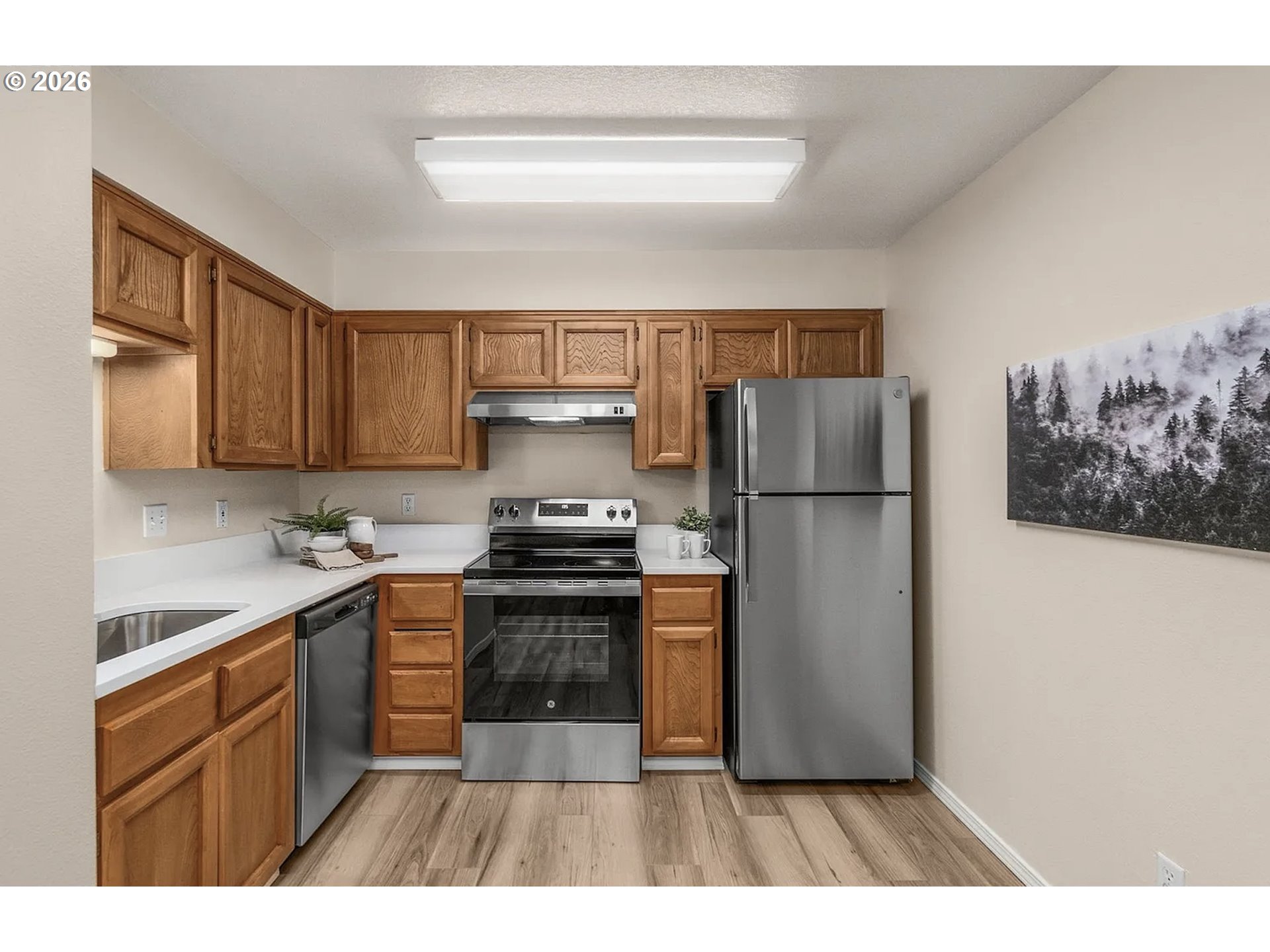 Photo #5: 531887746 Listing: Photo #5