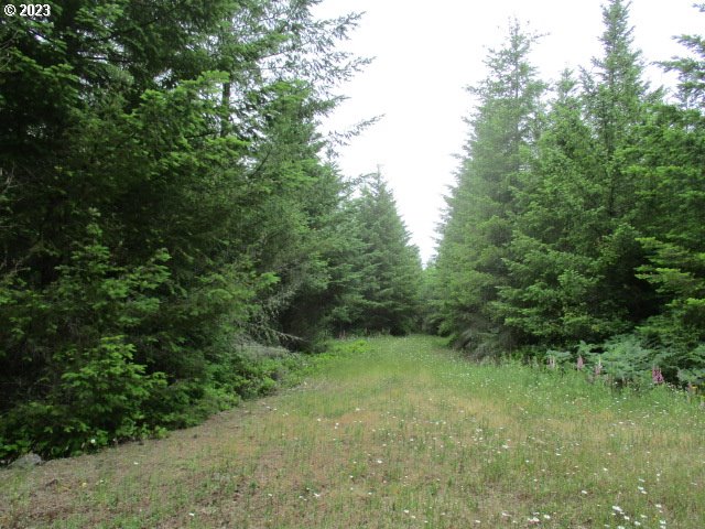 00 Gruber South RD, Estacada, OR, 97023