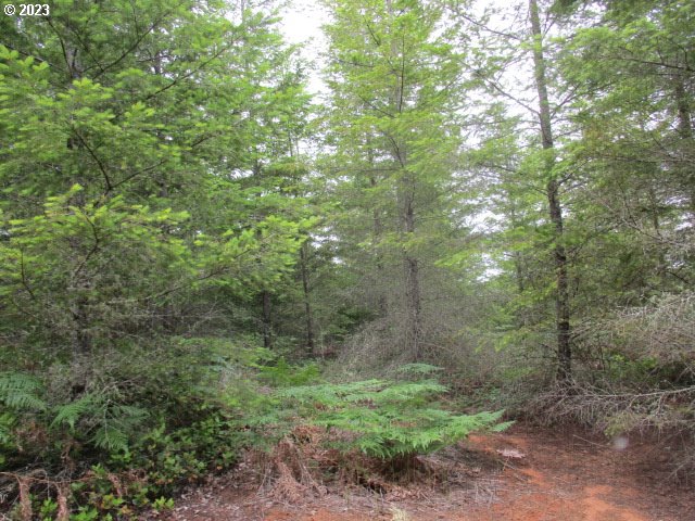 00 Gruber South RD, Estacada, OR, 97023
