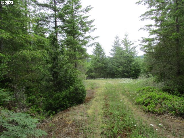 00 Gruber South RD, Estacada, OR, 97023