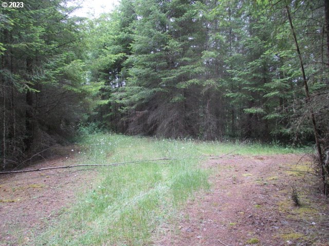 00 Gruber South RD, Estacada, OR, 97023