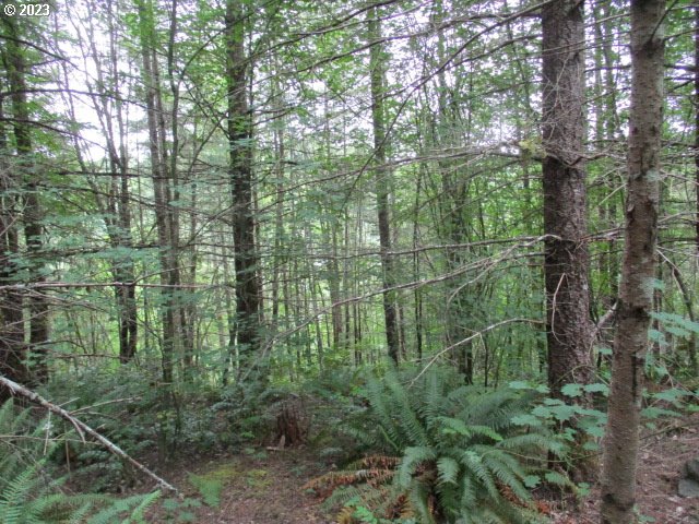 00 Gruber South RD, Estacada, OR, 97023