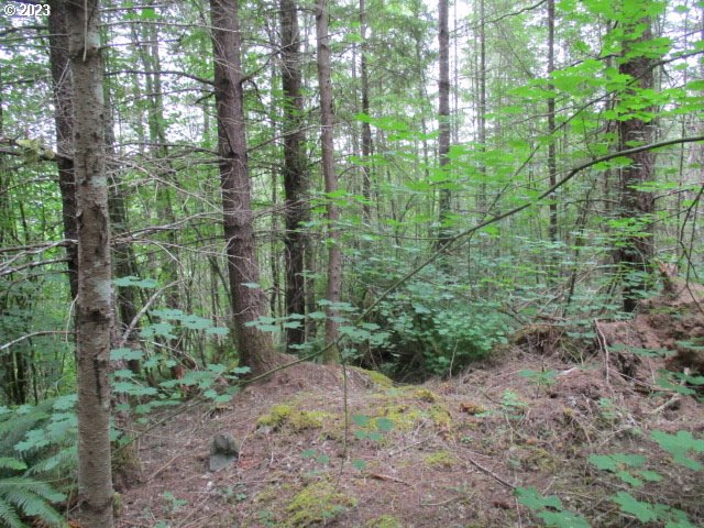 00 Gruber South RD, Estacada, OR, 97023
