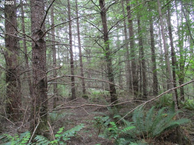 00 Gruber South RD, Estacada, OR, 97023