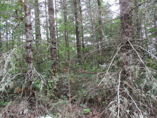 00 Gruber South RD, Estacada, OR, 97023
