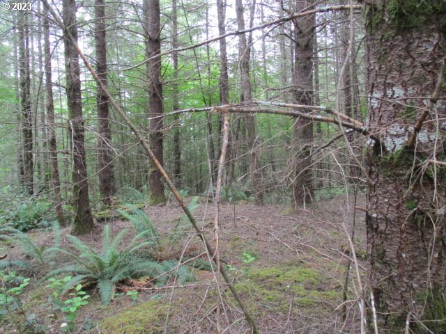 00 Gruber South RD, Estacada, OR, 97023