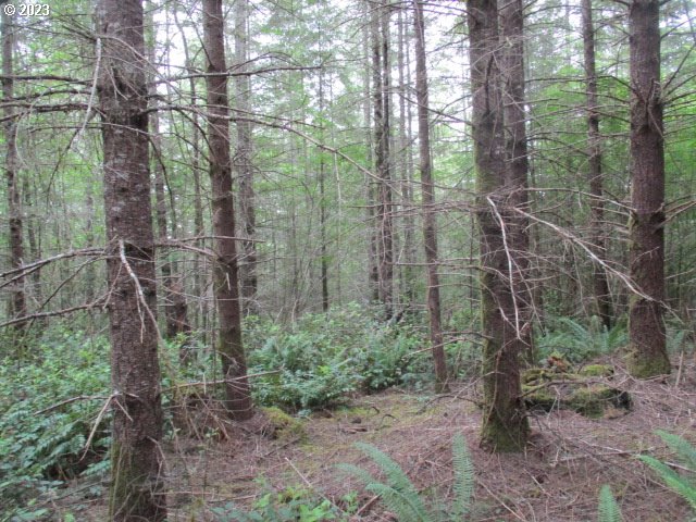 00 Gruber South RD, Estacada, OR, 97023
