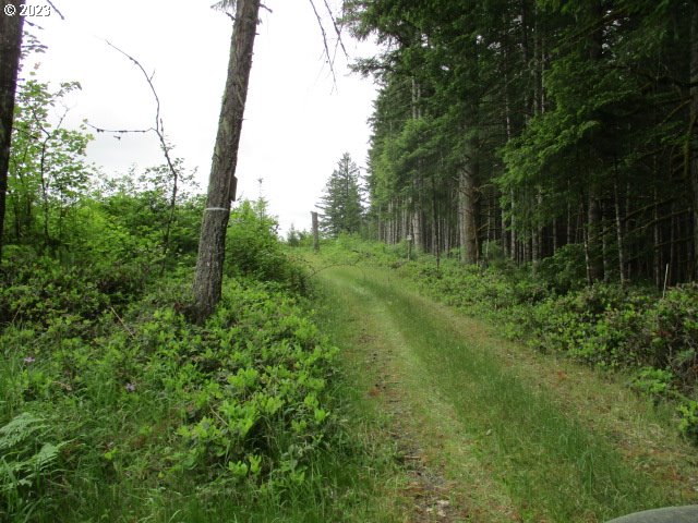 00 Gruber South RD, Estacada, OR, 97023