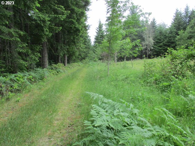00 Gruber South RD, Estacada, OR, 97023
