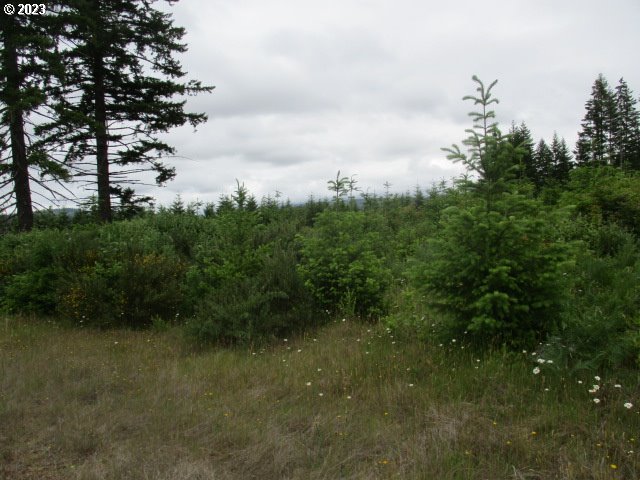 00 Gruber South RD, Estacada, OR, 97023