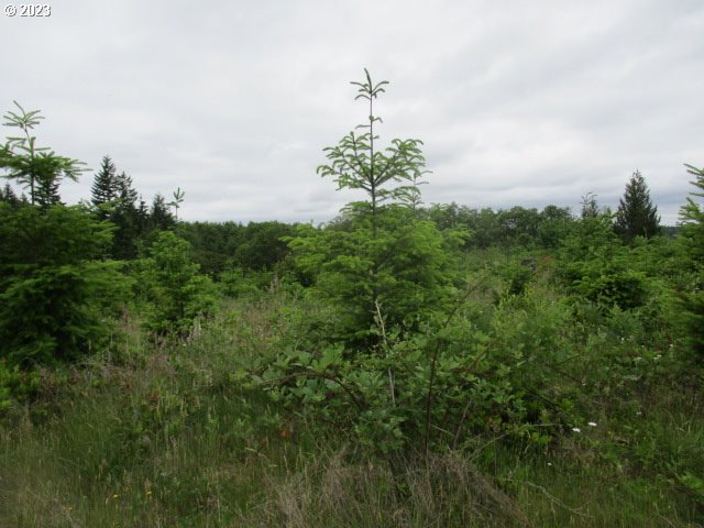 00 Gruber South RD, Estacada, OR, 97023