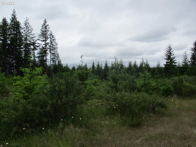 00 Gruber South RD, Estacada, OR, 97023