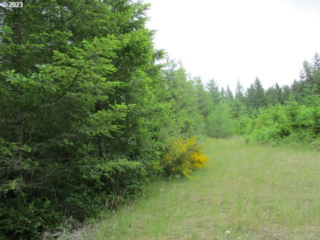 00 Gruber South RD, Estacada, OR, 97023
