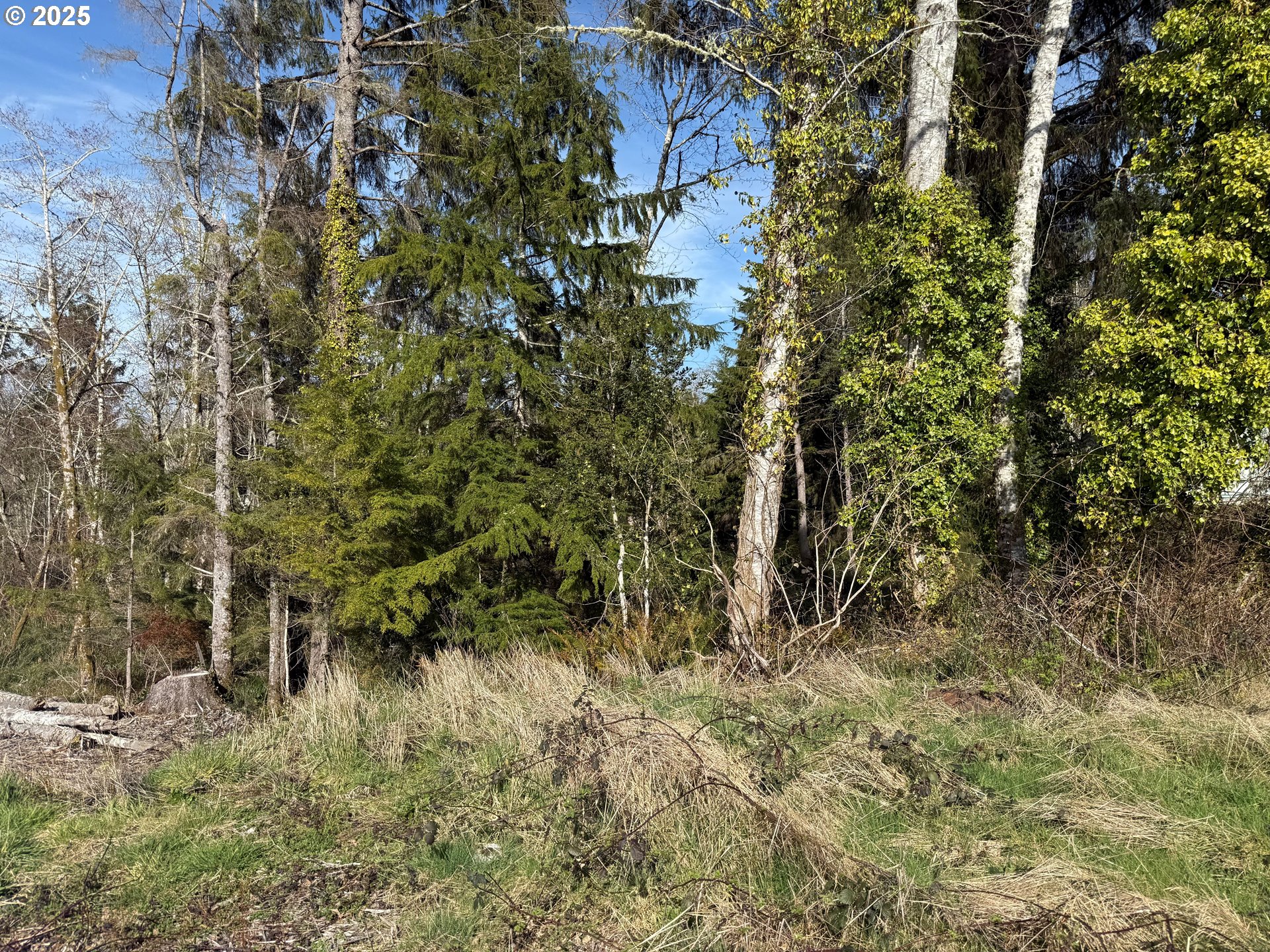 Search Homes for Rent