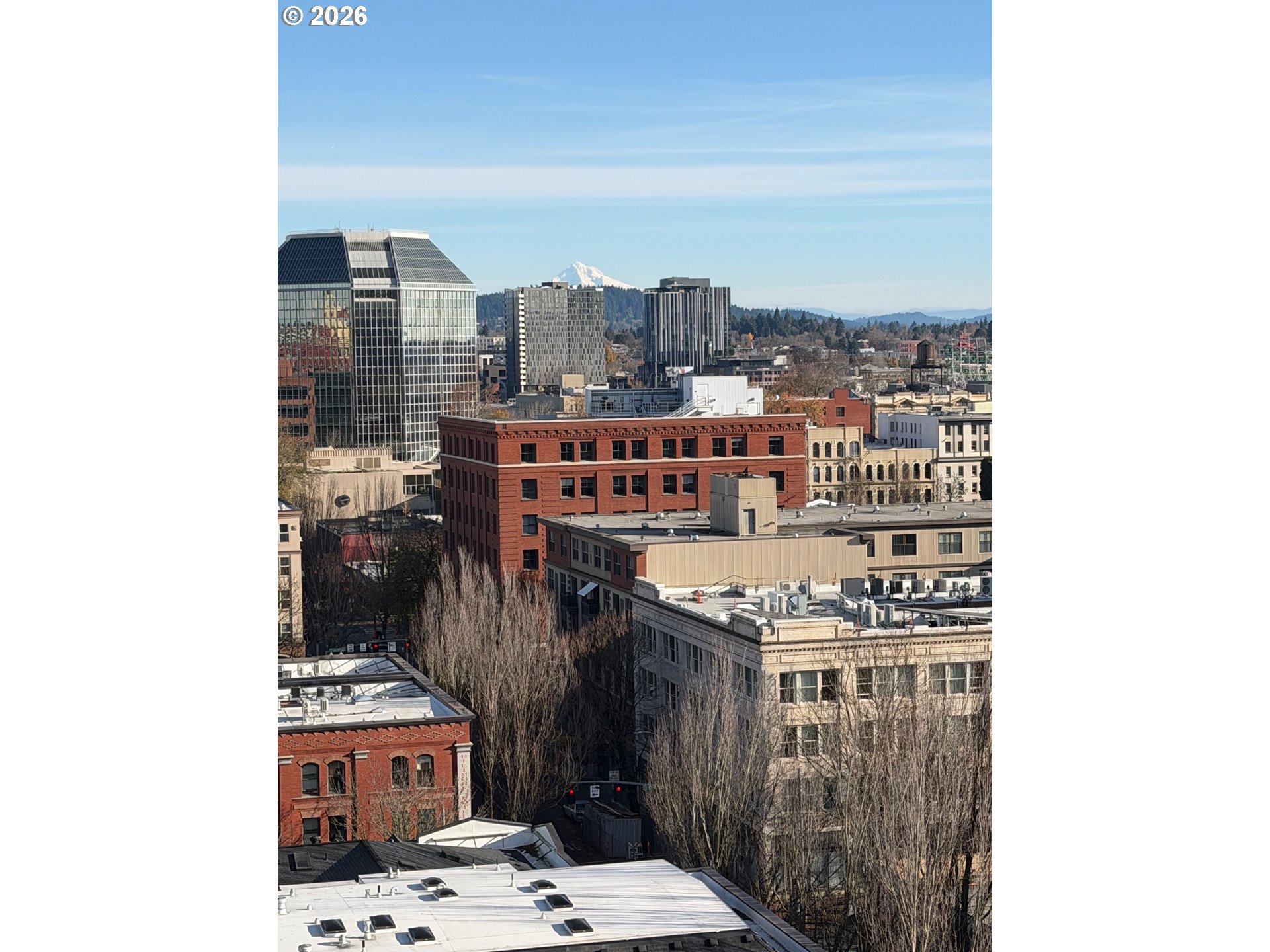 Photo #45: 535037017 Listing: Photo #45