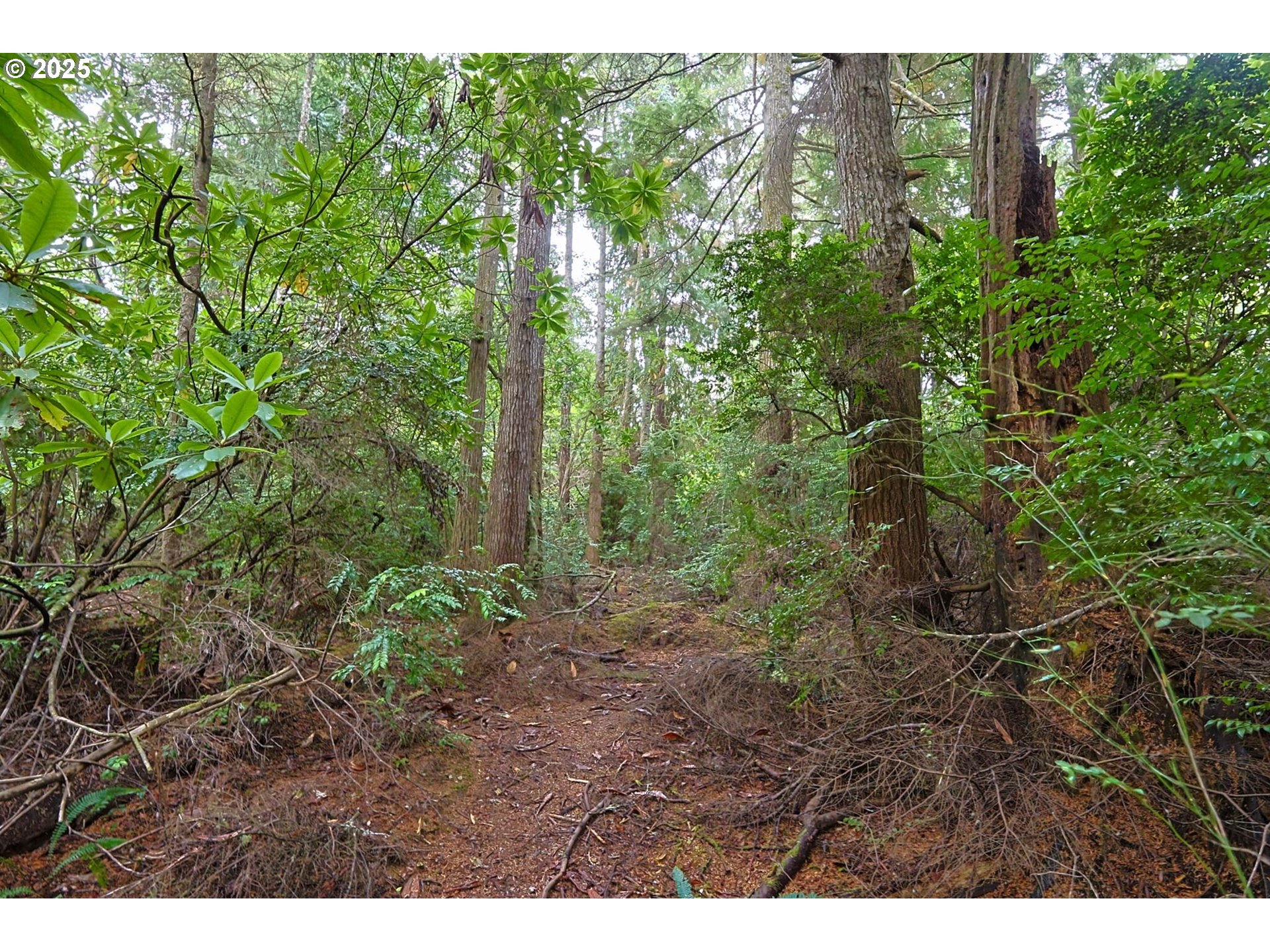 63817 WALLACE RD, Coos Bay, OR, 97420