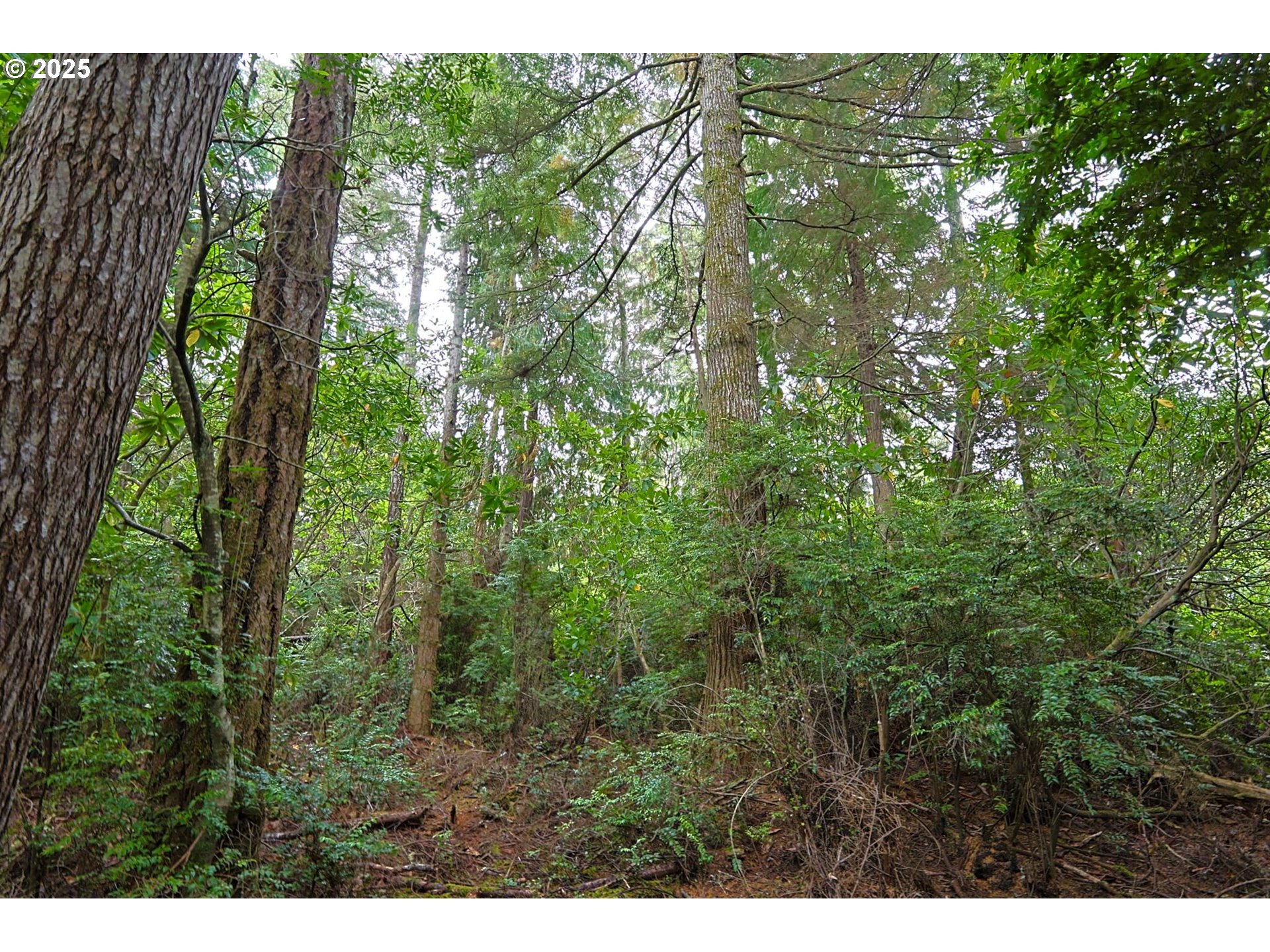 63817 WALLACE RD, Coos Bay, OR, 97420