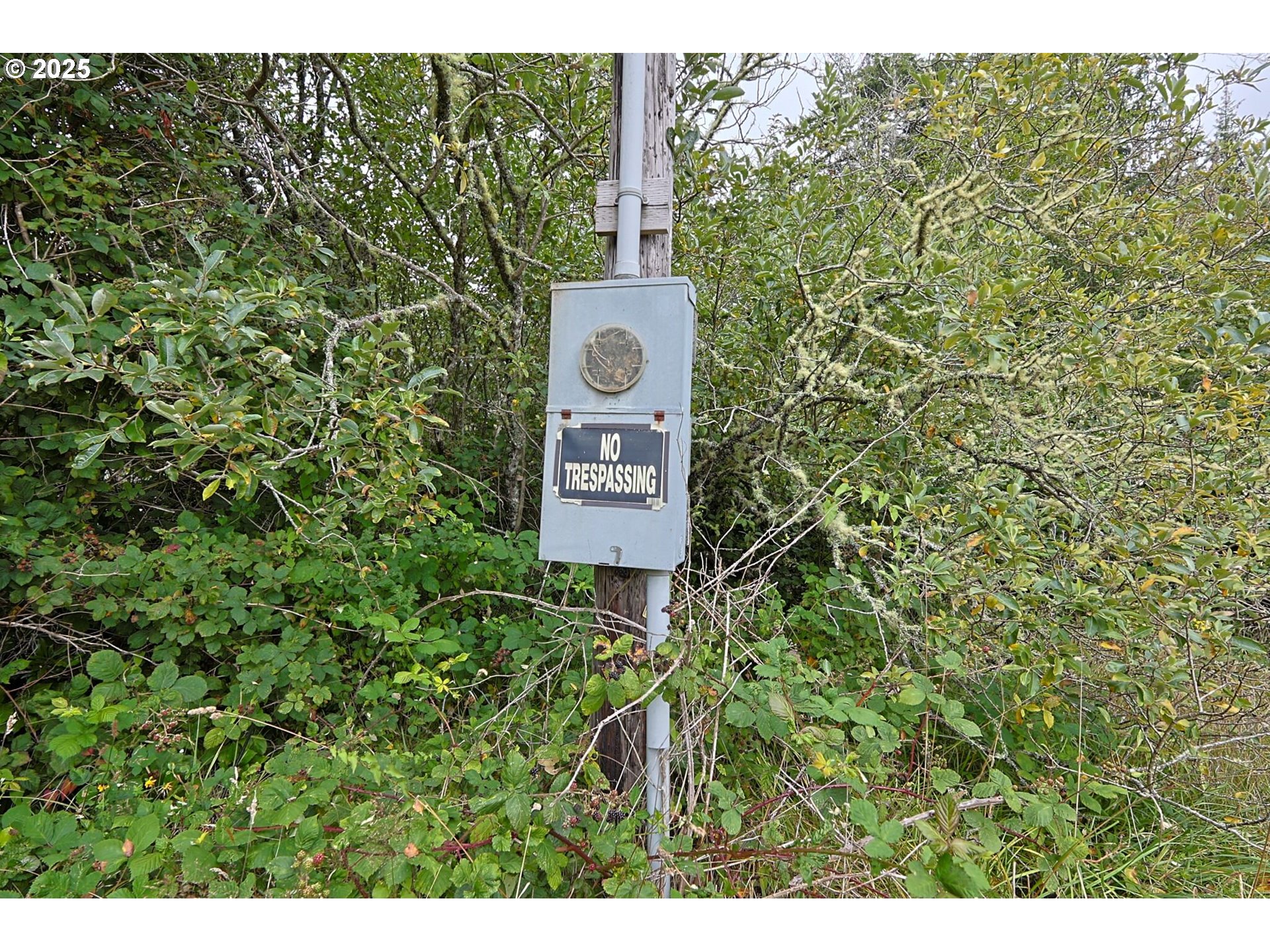 63817 WALLACE RD, Coos Bay, OR, 97420