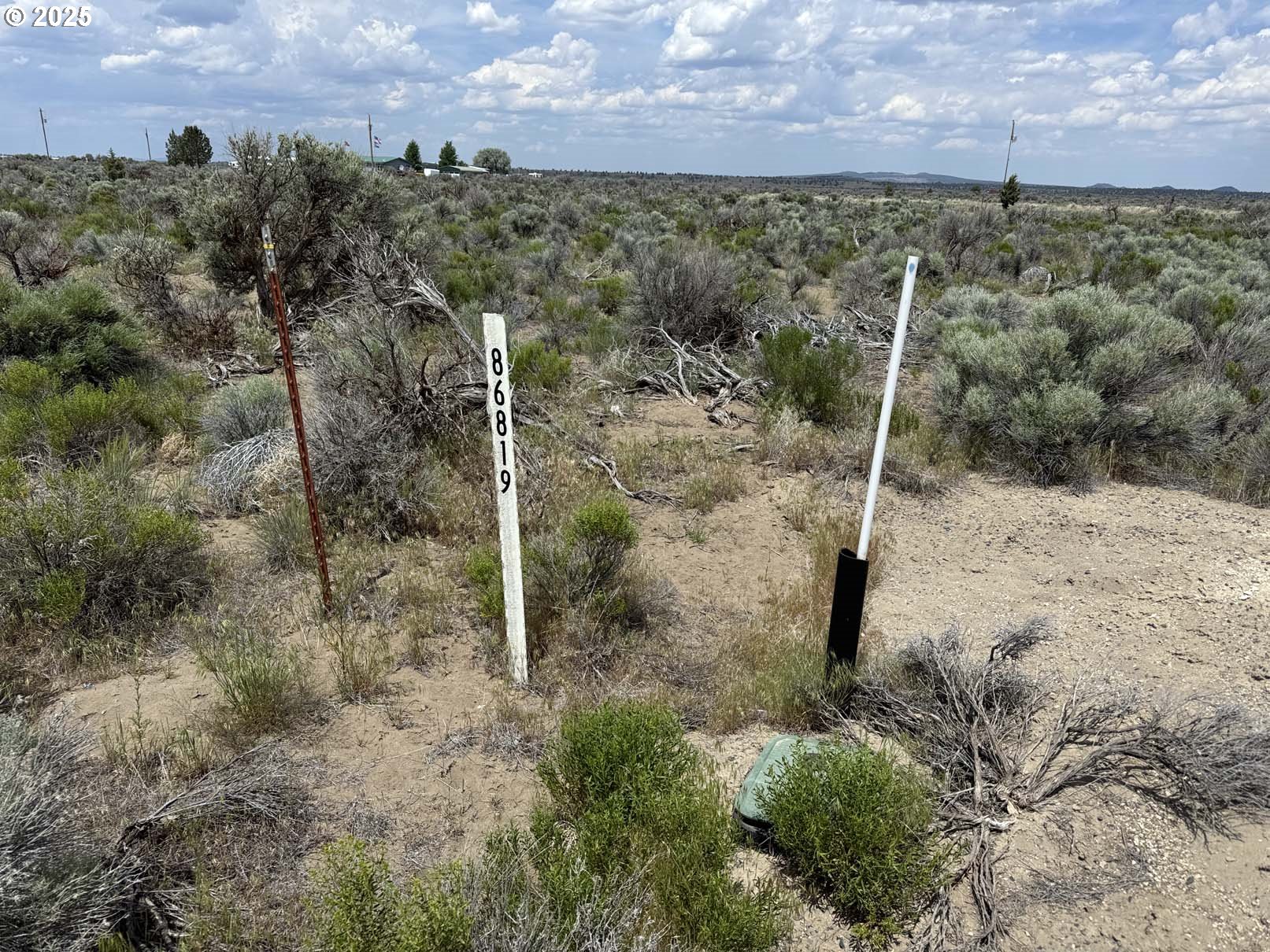 Search Homes for Sale