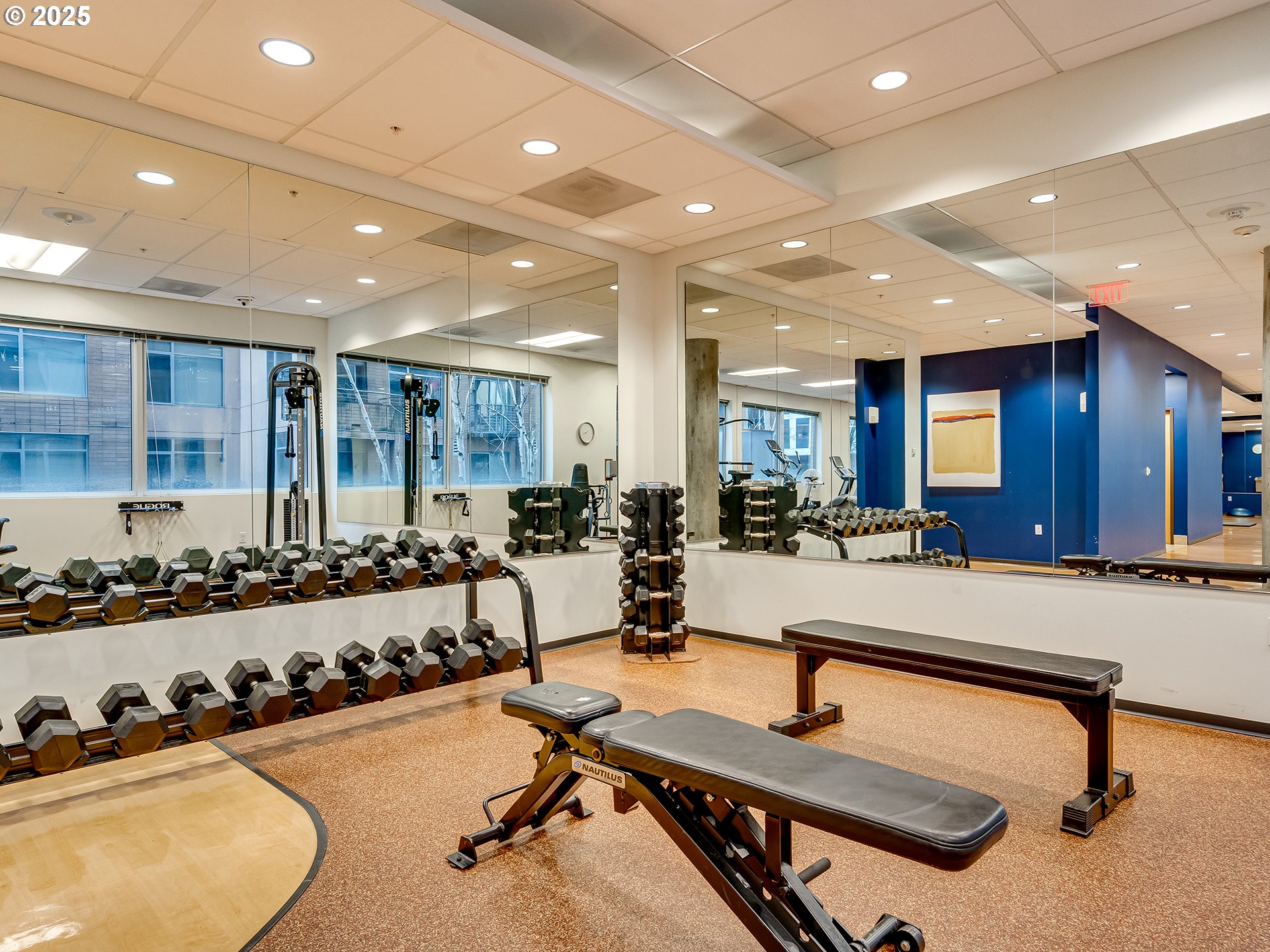 Photo #19: 539146416 Listing: Photo #19